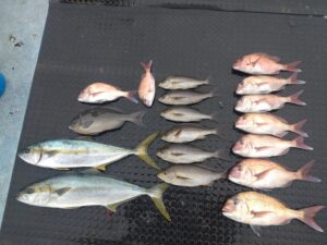 4月9日  フカセ釣り（プ)