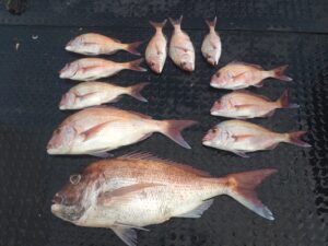 4月12日 フカセ釣り（プ)