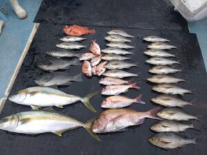 5月6日  タイラバ&フカセ釣り（プ)